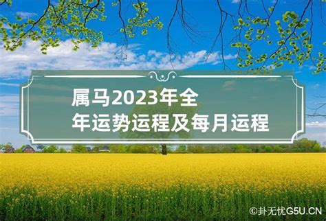 1978属马2023年运程|1978年属马人2023年运势及运程，78年45岁生肖马2023年每月运势